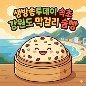 생방송투데이 속초 강원도 막걸리 술빵