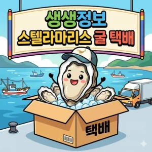 생생정보 통영 굴 택배 주문 스텔라마리스 태화물산 사계절 즐기는 프리미엄 석화 3 생생정보 통영 굴 택배 주문