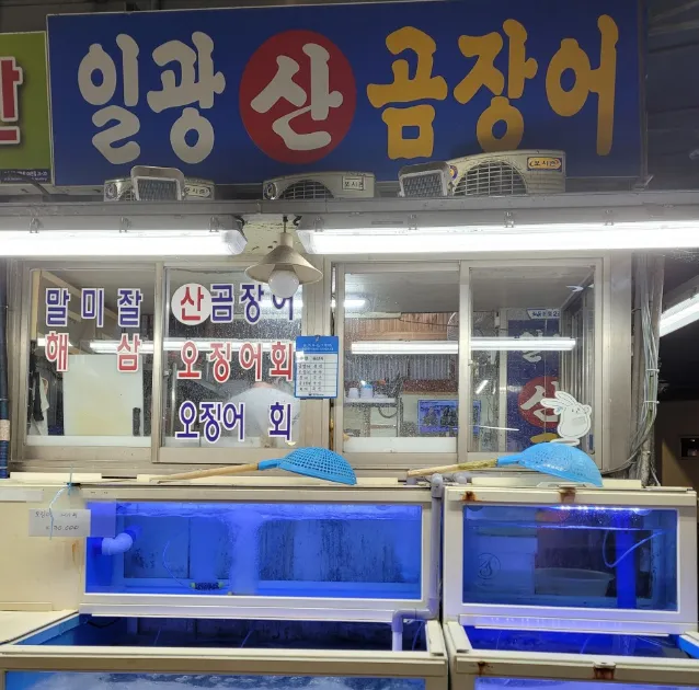 6시내고향 부산좌동시장 양념꼼장어