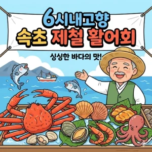 6시내고향 속초 제철 활어회