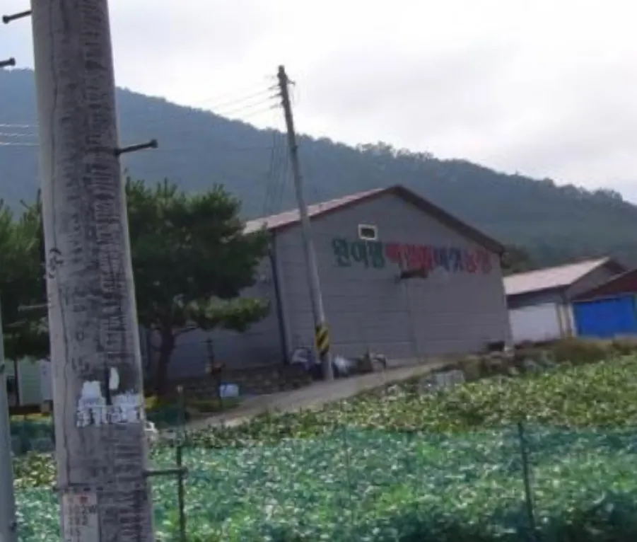 6시내고향 양평 만가닥버섯