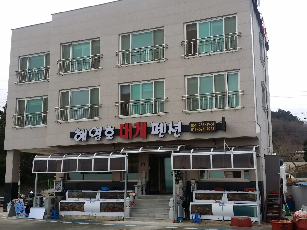 6시내고향 영덕대게식당