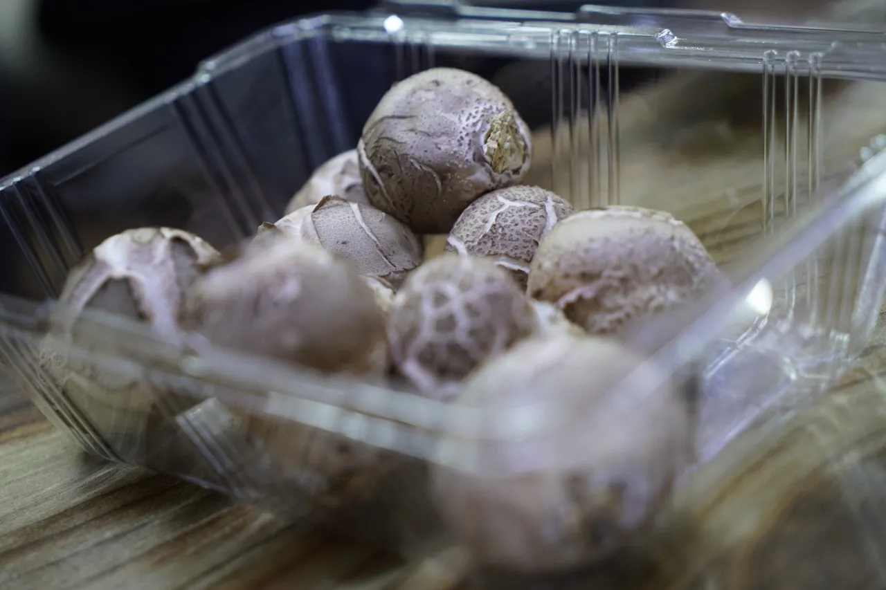 6시내고향 정선아리랑시장 표고버섯메밀전병