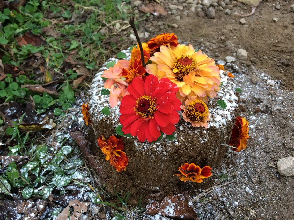 6시내고향 평창 숲놀이터