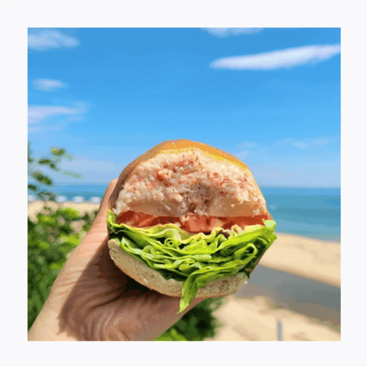 동네한바퀴 속초 홍게샌드위치