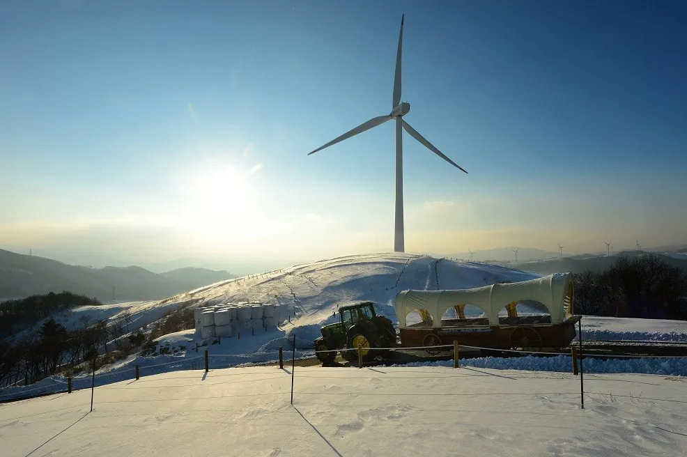 생방송투데이 대관령 하늘목장