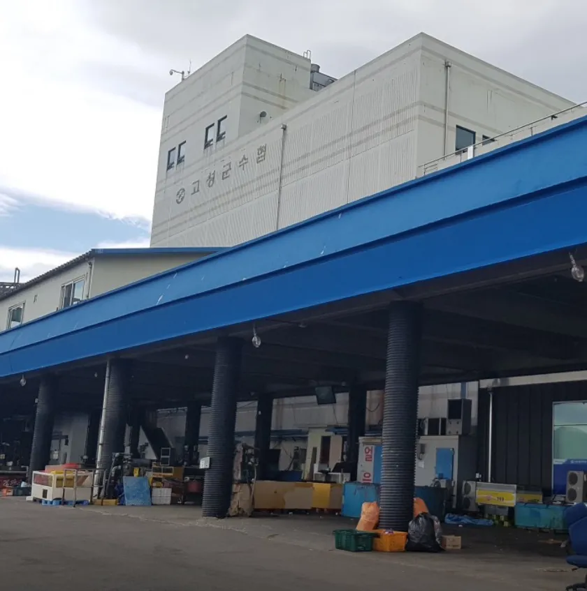 생생정보 고성 참가리비