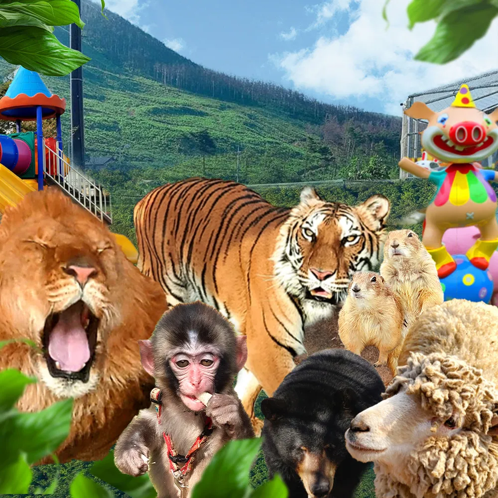 생생정보 동물 구조 보호