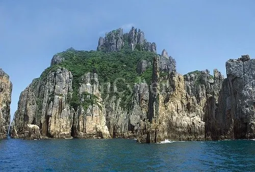 생생정보 전남 완도 다도해해상국립공원