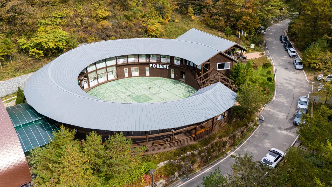 생생정보 횡성군 숲속힐링숙소