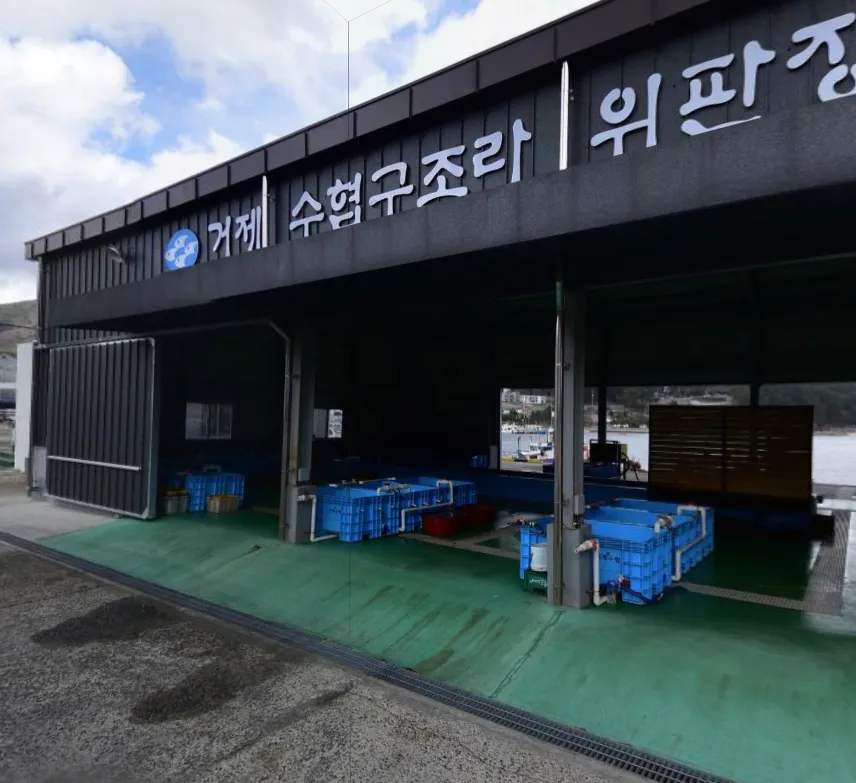 오늘N 경남 거제 수협공판장