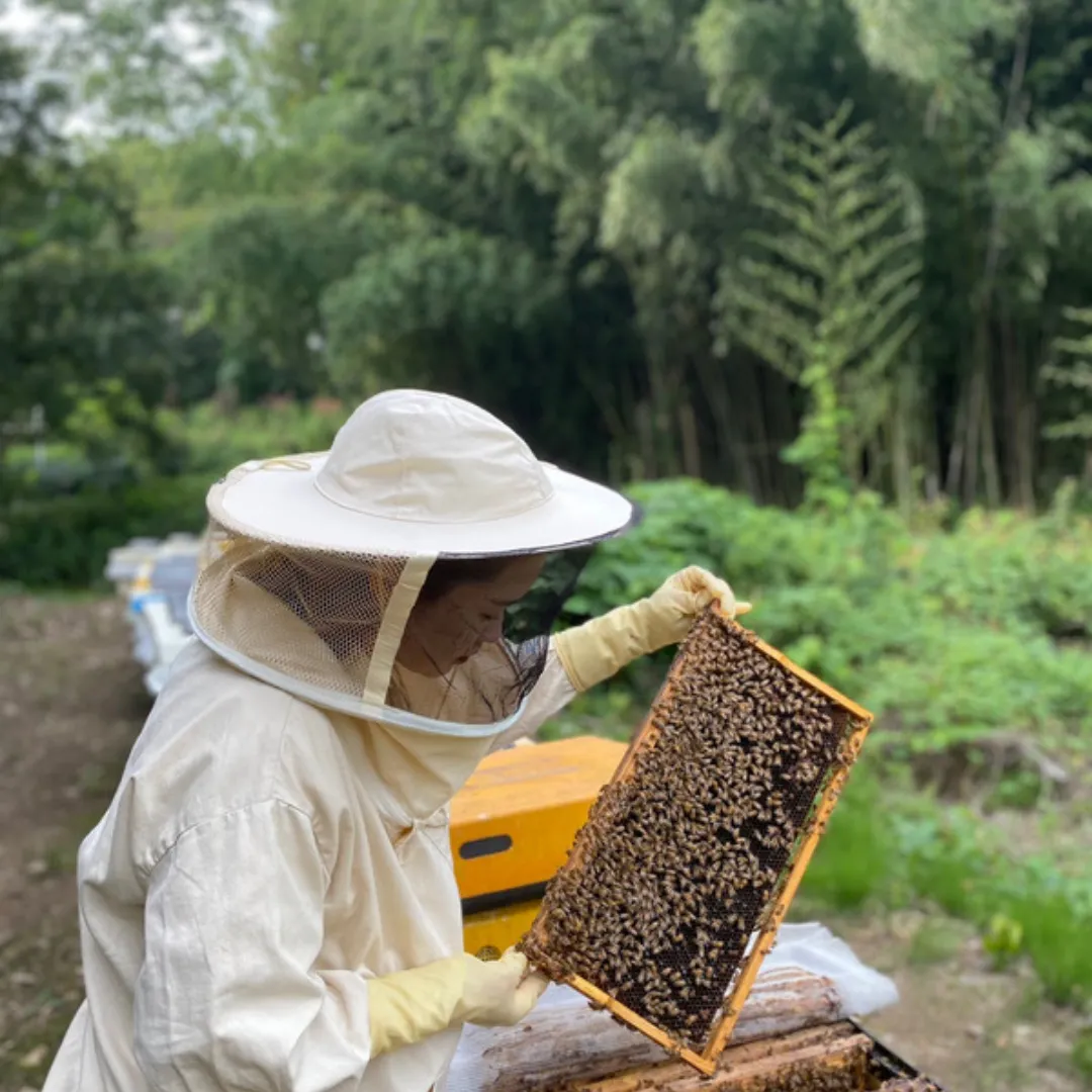 오늘N 경북 영천 꿀벌체험