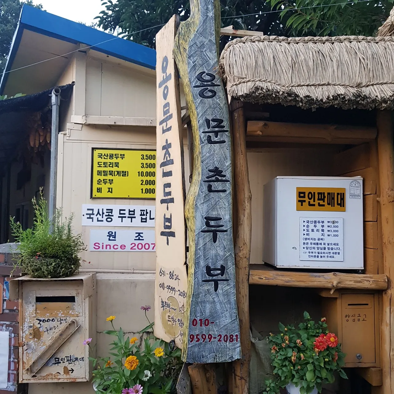 6시내고향 대구 용문손두부