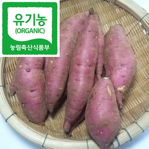 6시내고향 무안 고구마