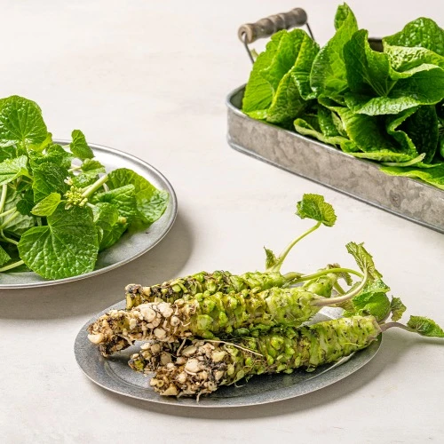 6시내고향 보성 고추냉이