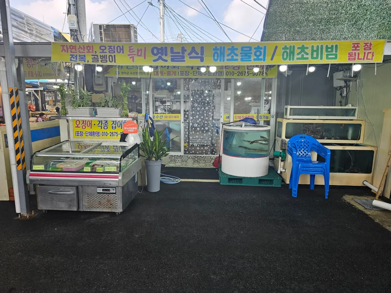 6시내고향 영덕시장 해풍수산