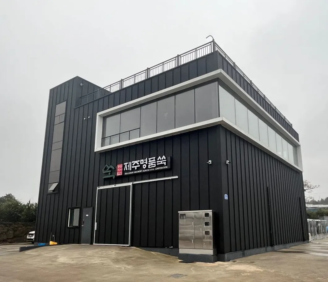 6시내고향 제주 애월 쑥