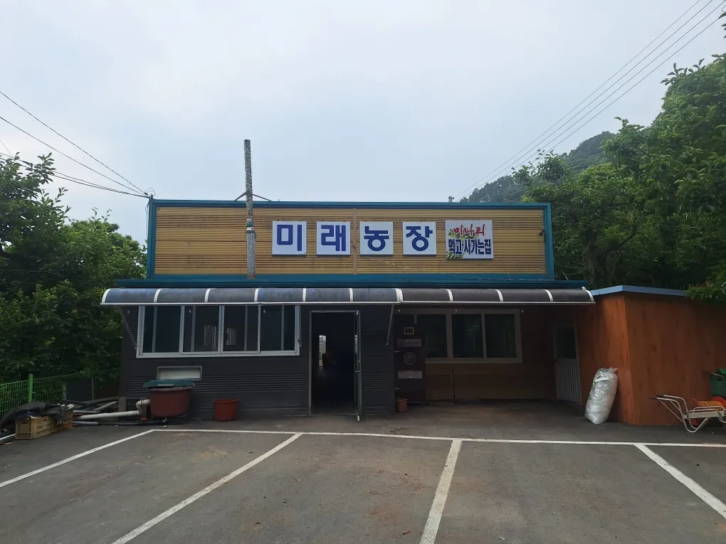 6시내고향 청도 미나리