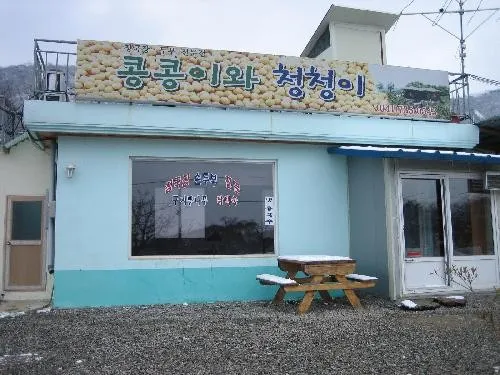 백반기행 논산노포 손두부