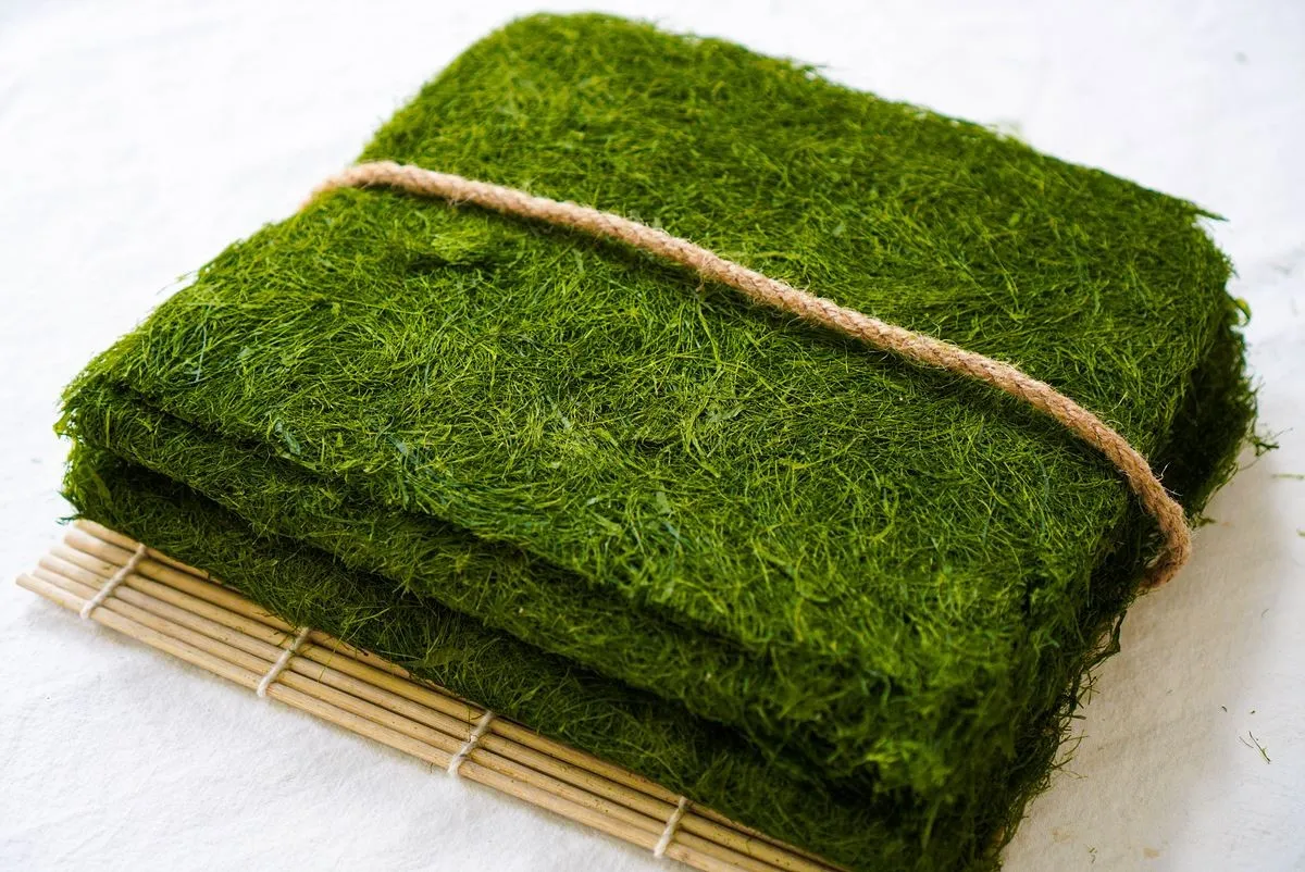 생방송투데이 서산 감태