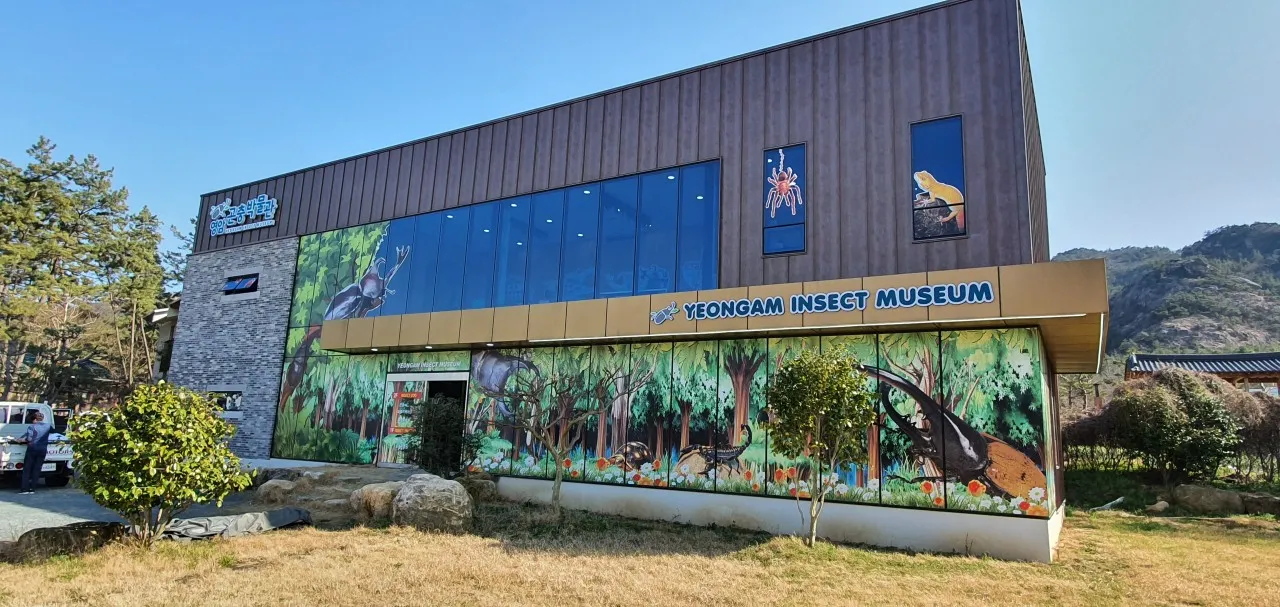 생방송투데이 영암 곤충박물관