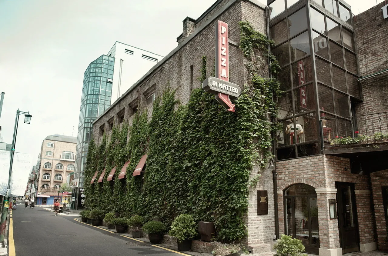 생방송투데이 혜화동 피자 맛집