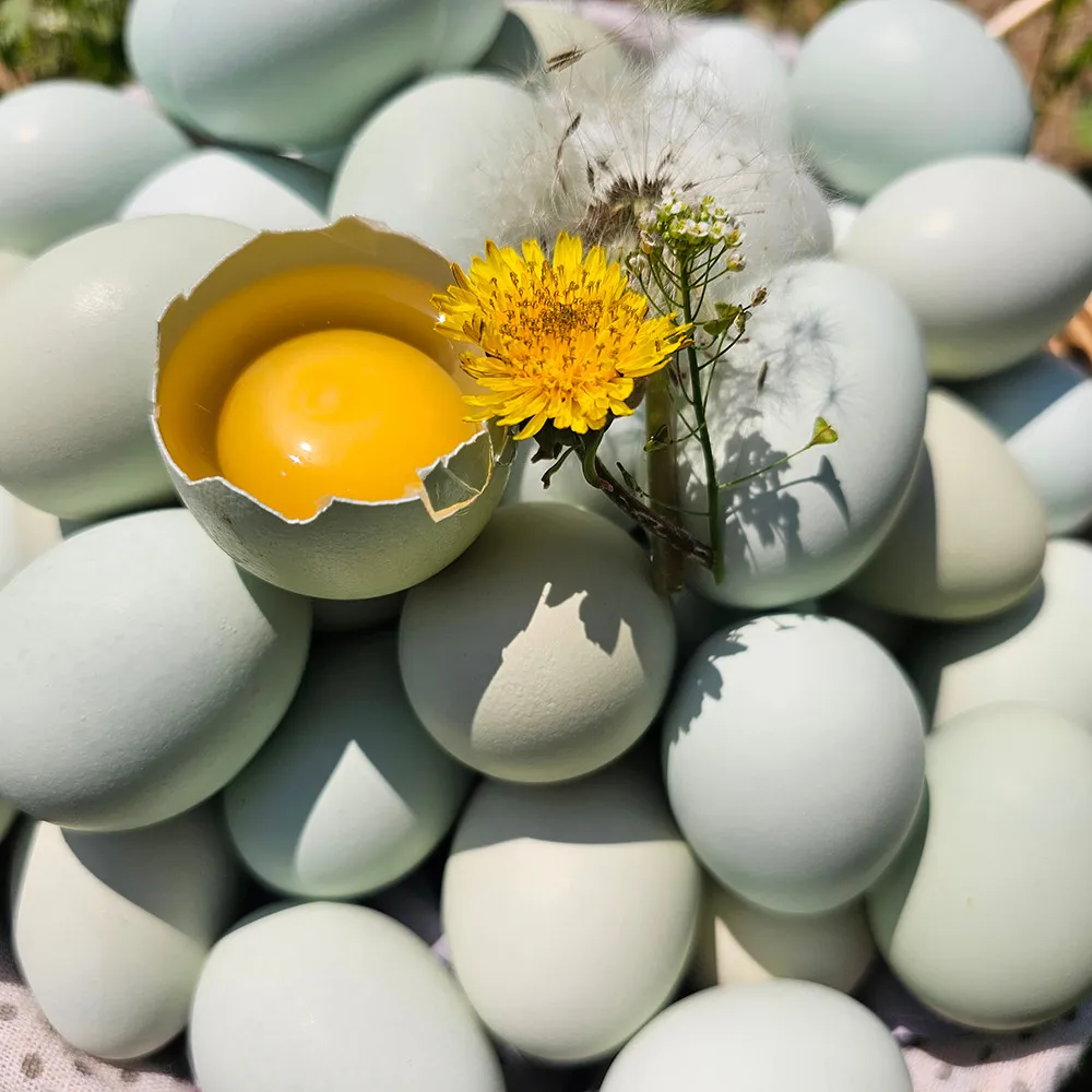 생생정보 나나랜드