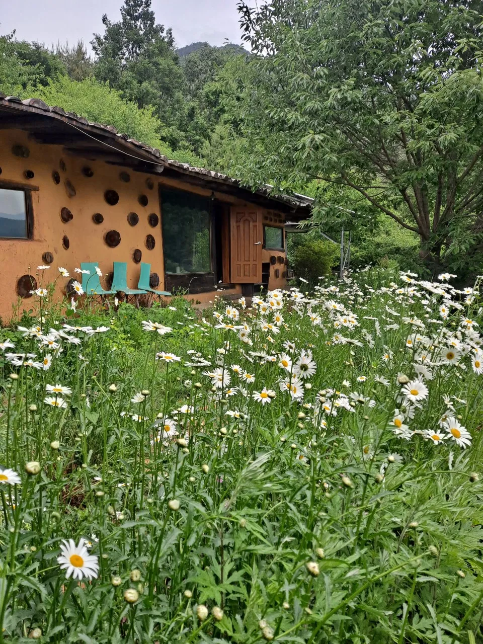 생생정보 남원 촌캉스 흙집민박