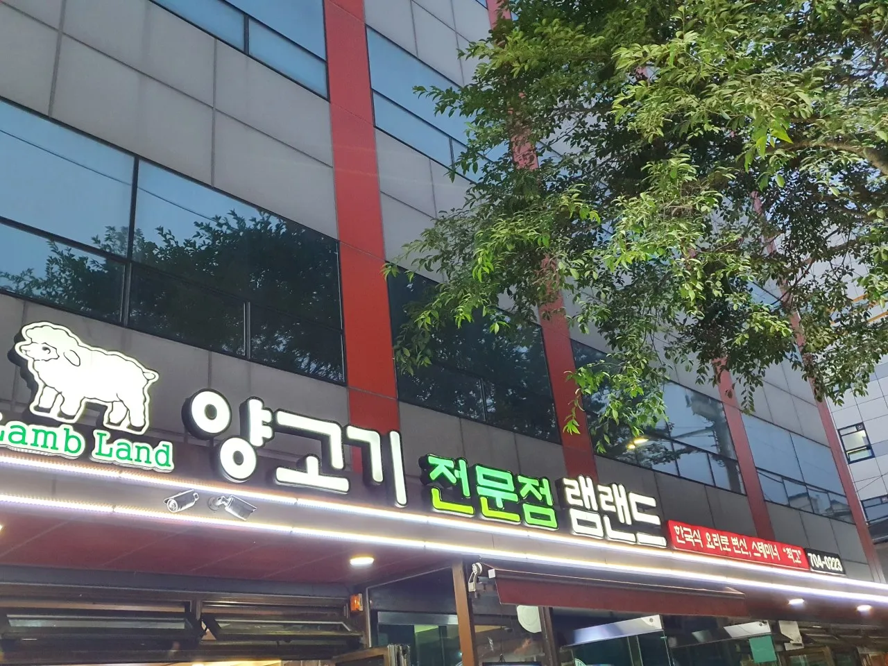 생생정보 마포 양고기 양갈비