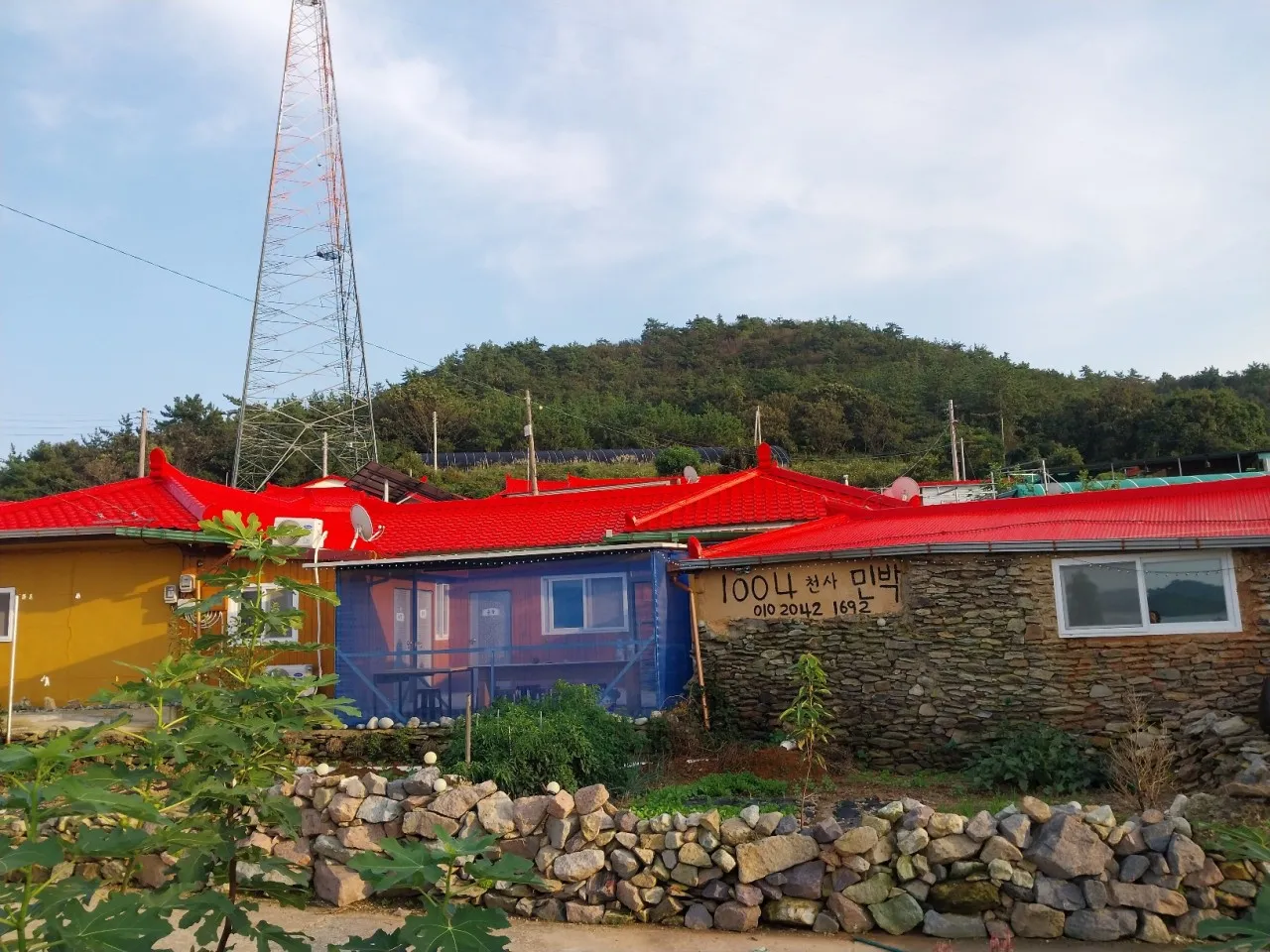 생생정보 신안 1004민박