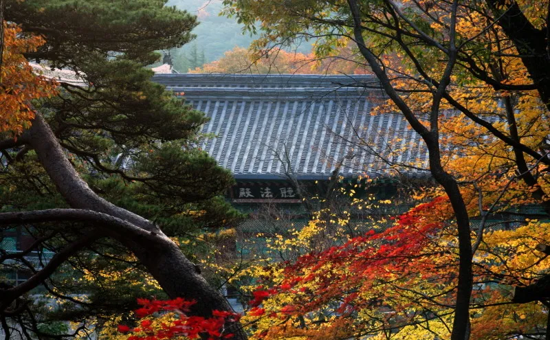 생생정보 양산 통도사