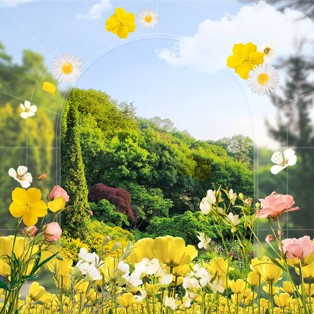 생생정보 용인 낙우송 식물원