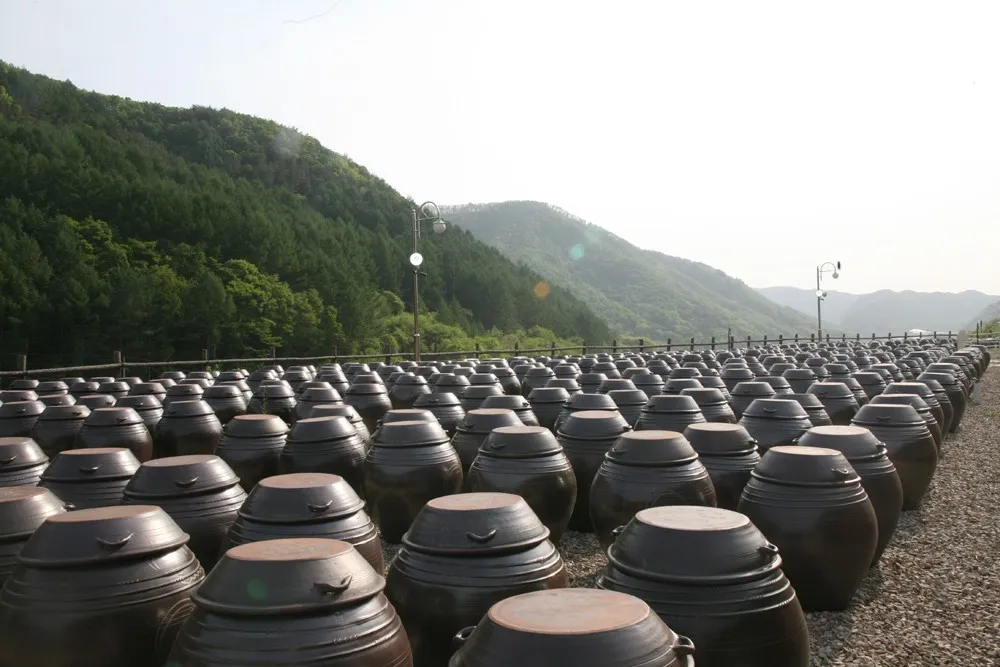 생생정보 포항 전통된장