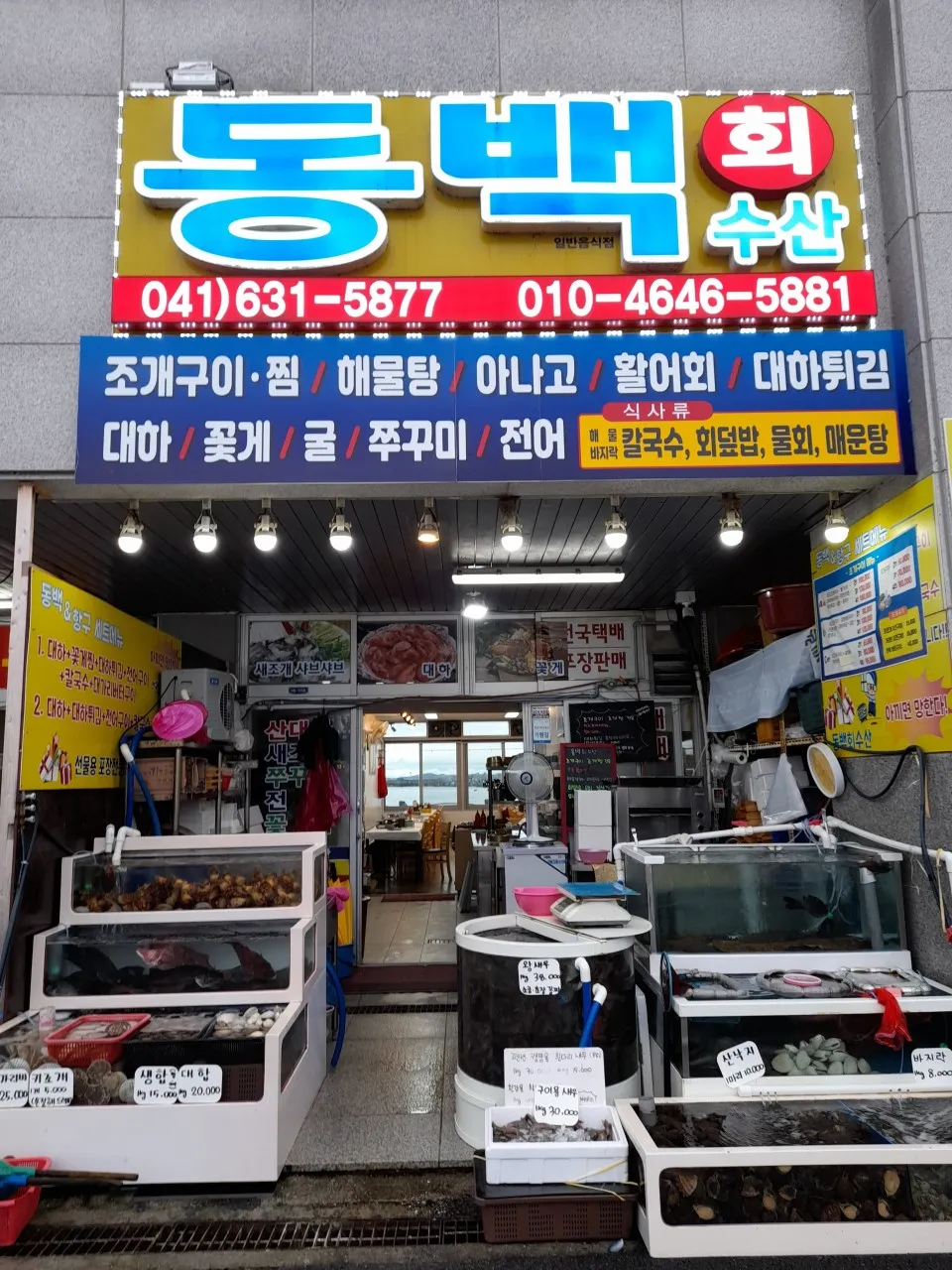 생생정보 홍성 남당항 새조개