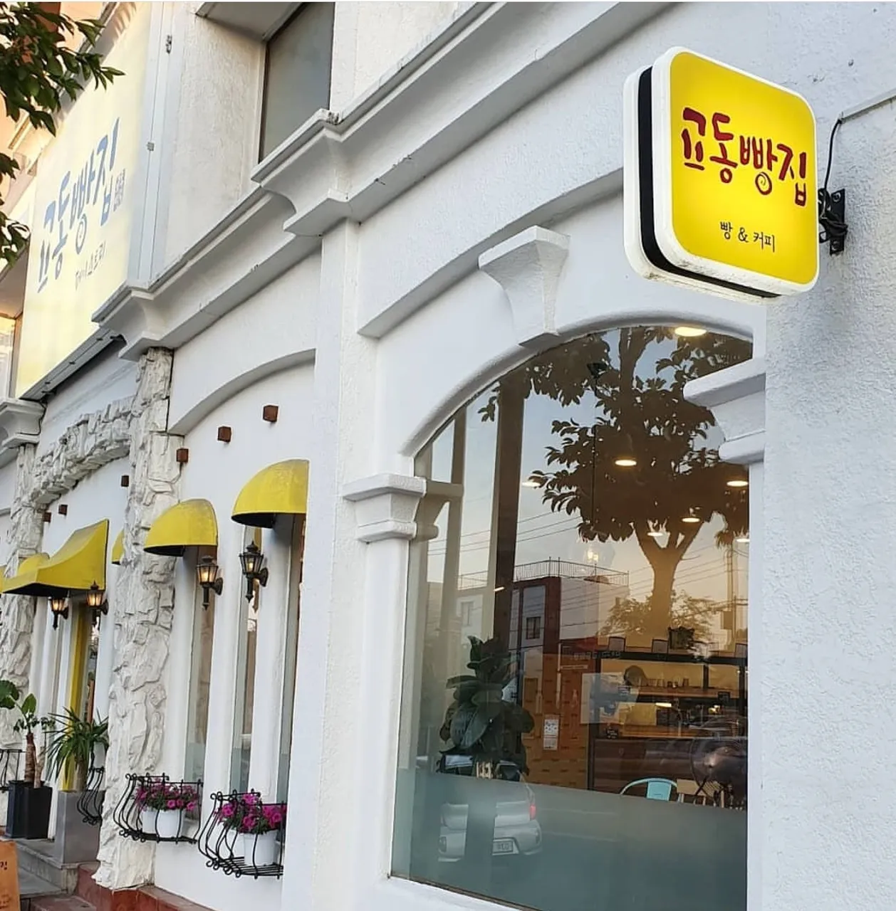 생활의달인 강릉 데니시 식빵