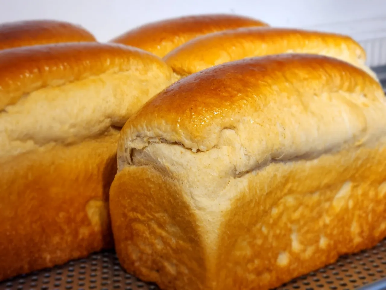 생활의달인 부천 보리식빵