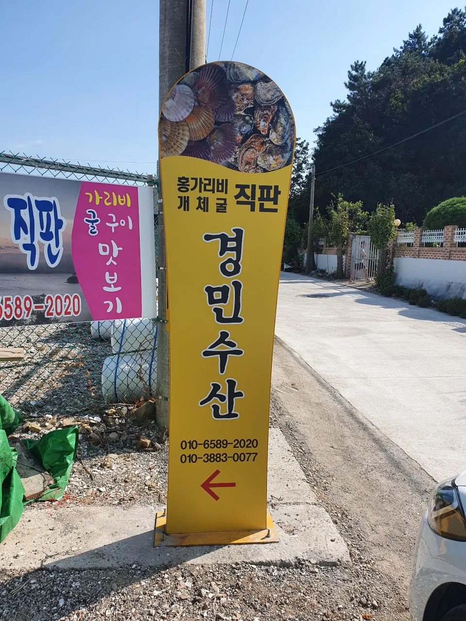 오늘N 경남 고성 홍가리비