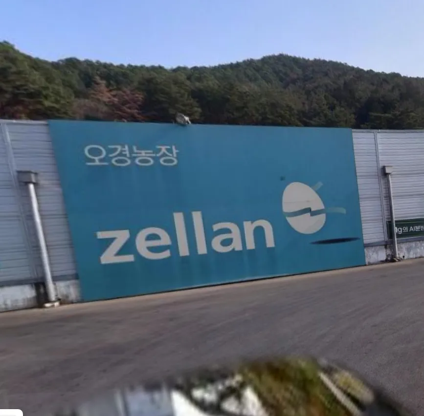 오늘N 경남 양산 달걀 농장