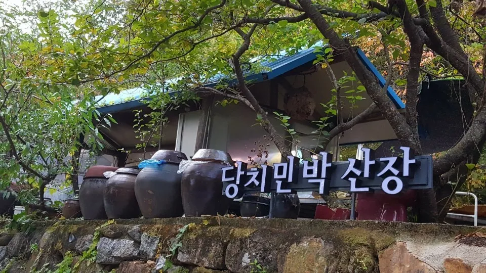 오늘N 구례 산닭구이