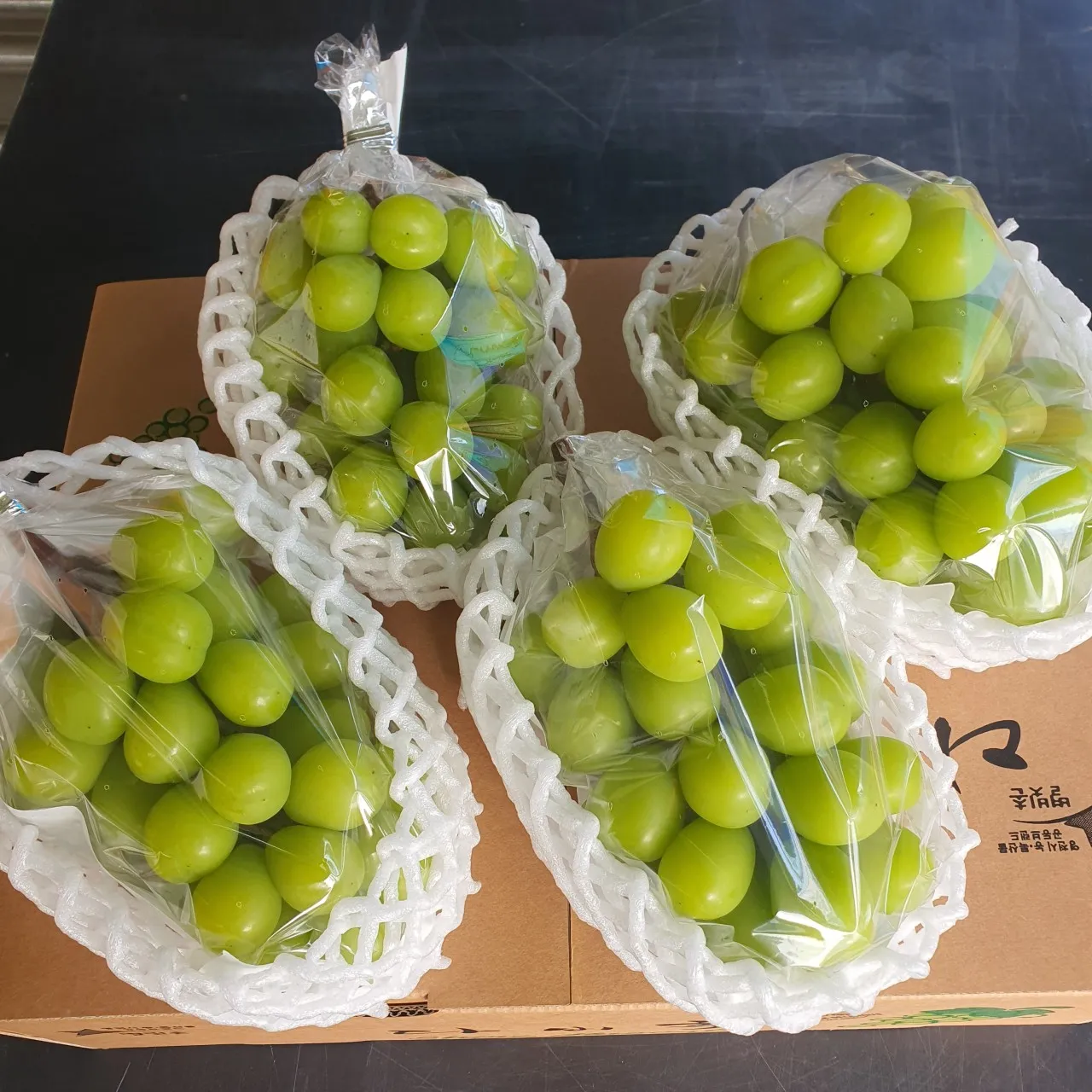 오늘N 영천 샤인머스켓 농원