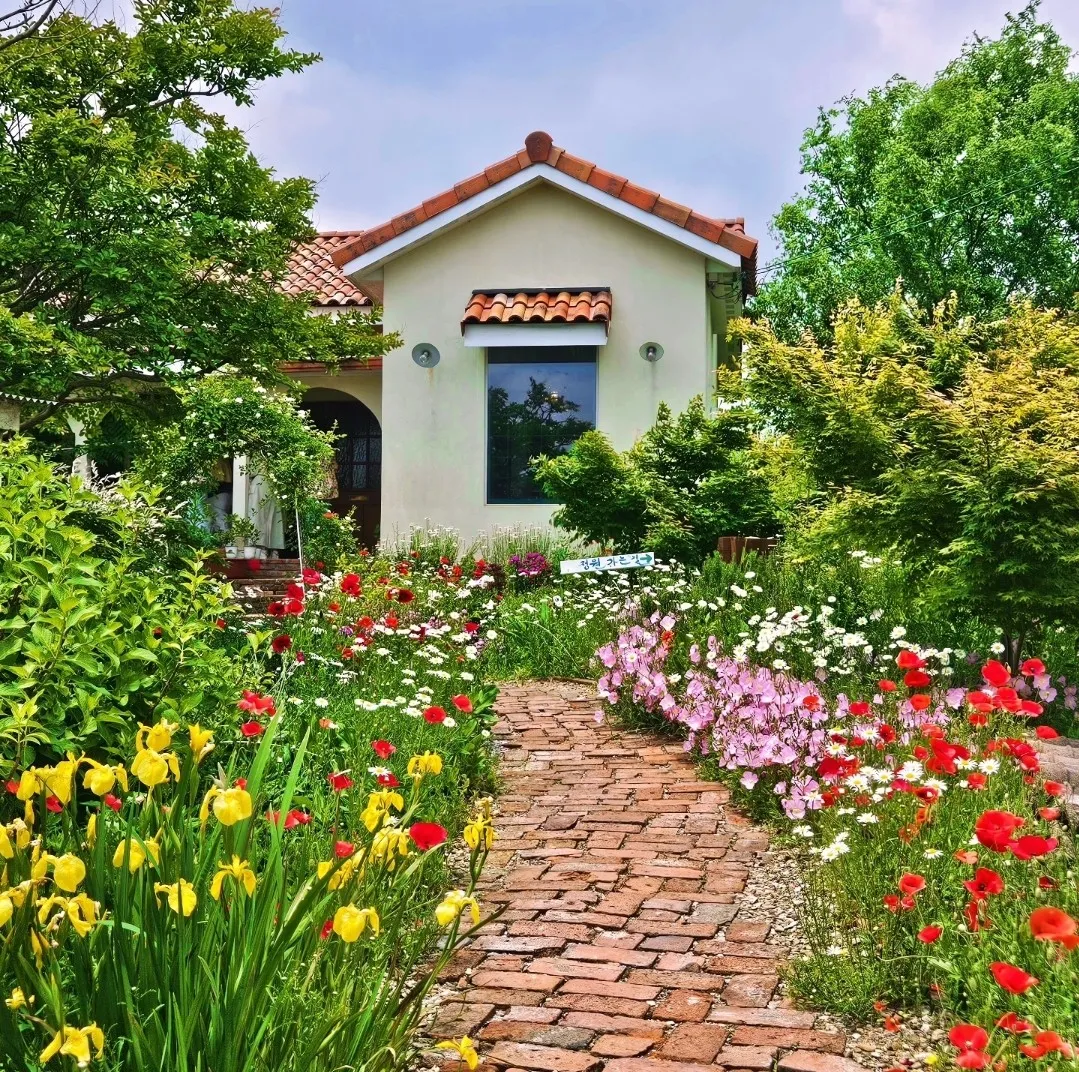 오늘N 촌집전성시대 고창 카페