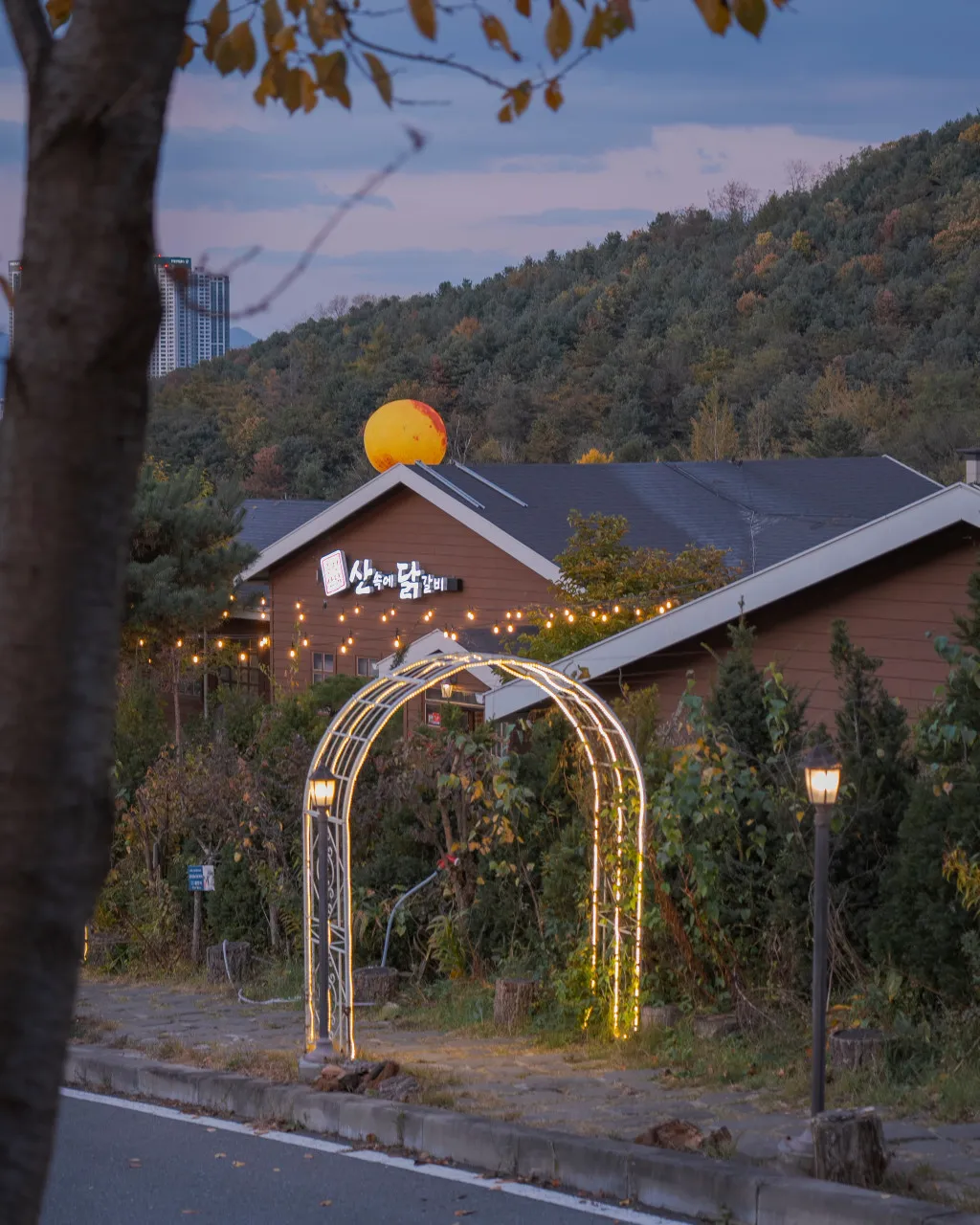 오늘N 춘천 닭갈비