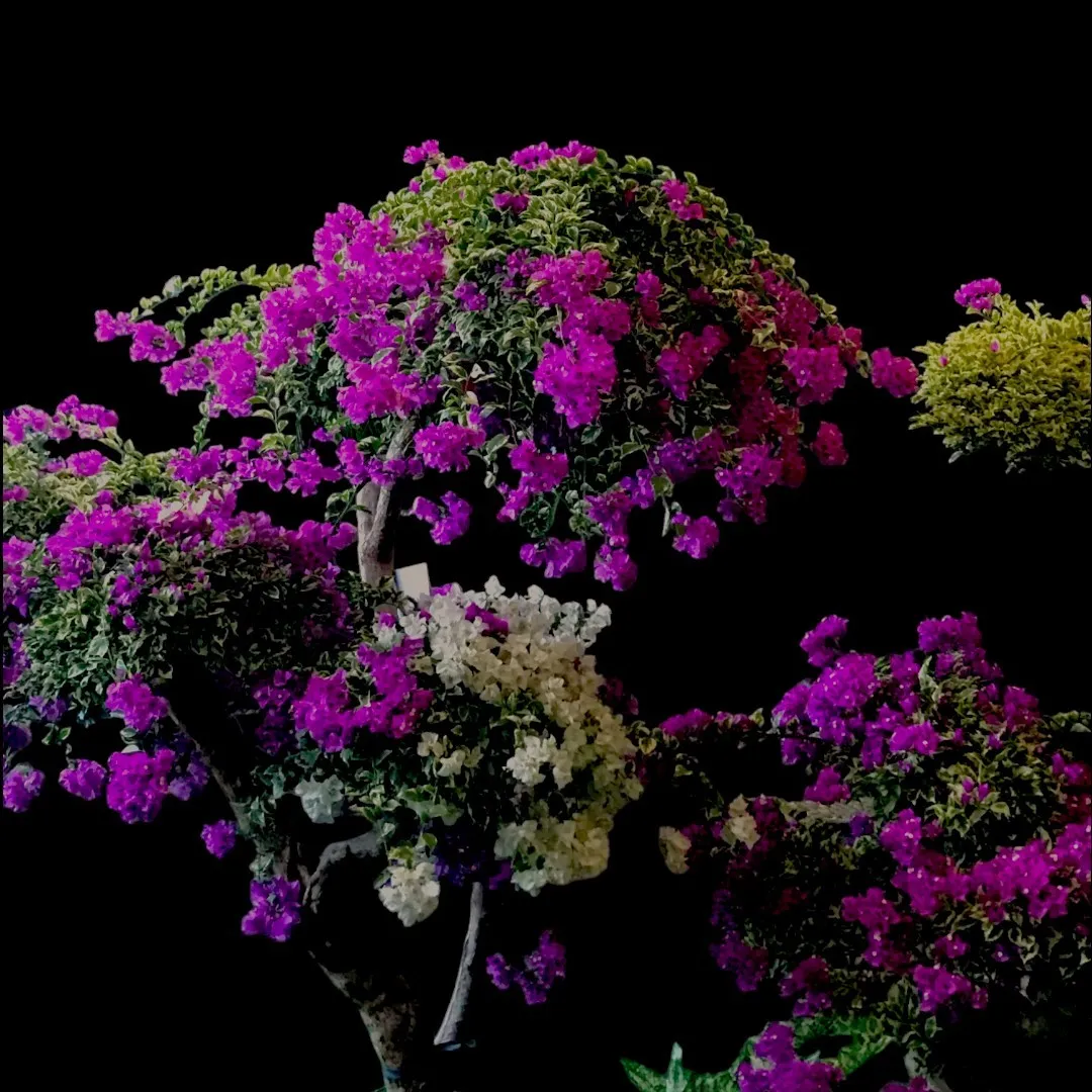 오늘N 통영 식물원