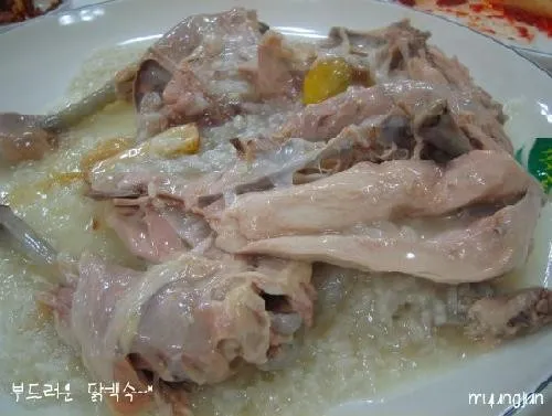 전현무계획3 용인 누룽지백숙