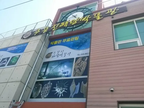 6시내고향 강릉 해양박물관