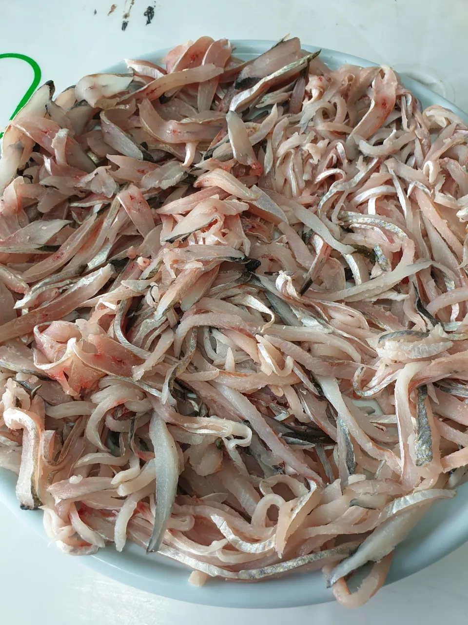 6시내고향 부산 웅어