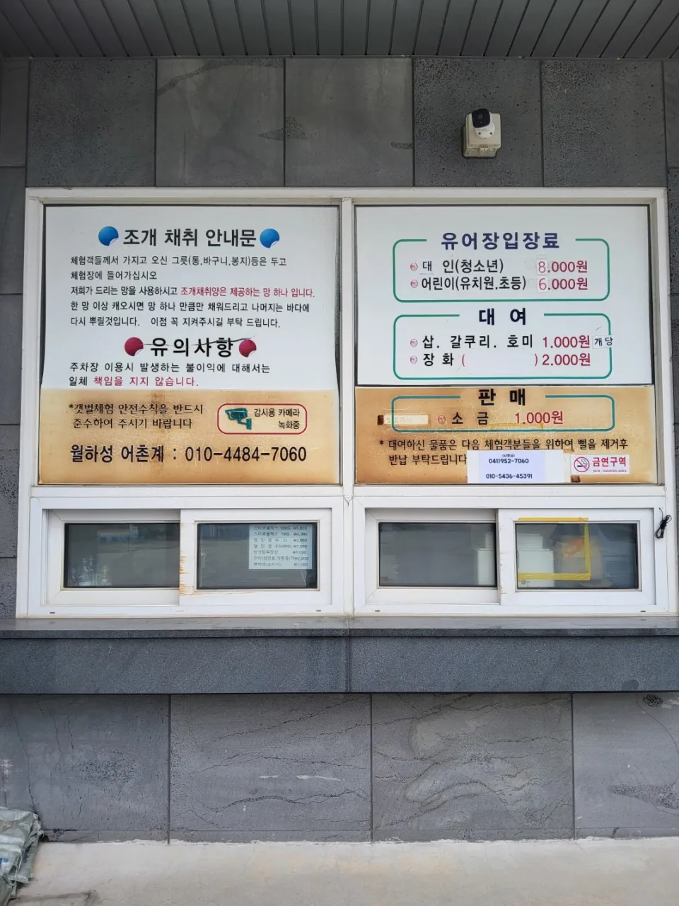 6시내고향 서천 갯벌 체험