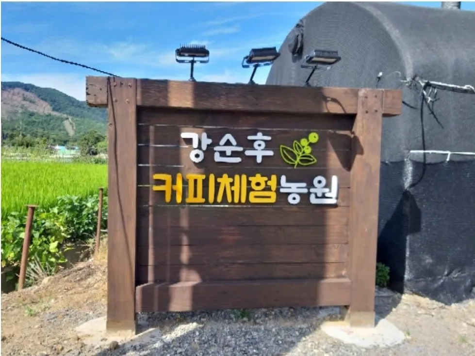 6시내고향 완주 커피 농장