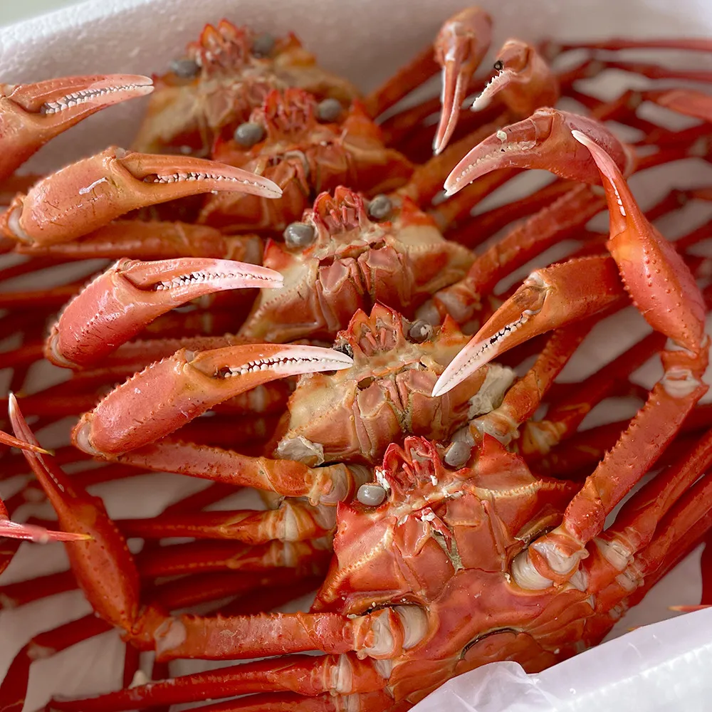 6시내고향 울진 홍게 식당