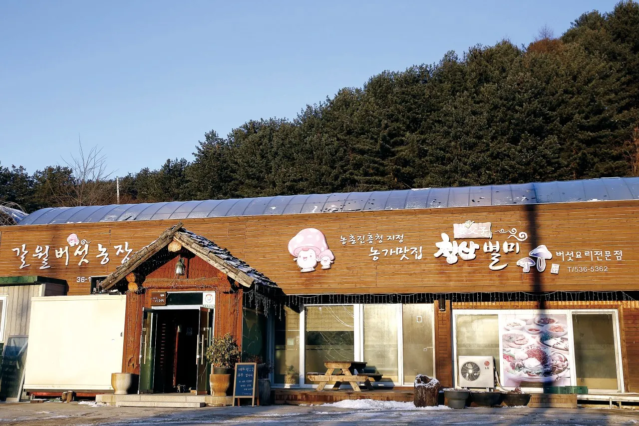 6시내고향 포천 버섯 한우 샤부샤부